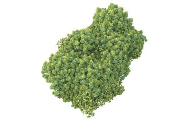 Beyaz arkaplanda izole edilmiş yeşil ağaçların 3d görüntülenmesi