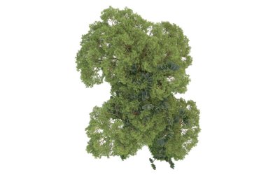 Beyaz arkaplanda izole edilmiş yeşil ağaçların 3d görüntülenmesi