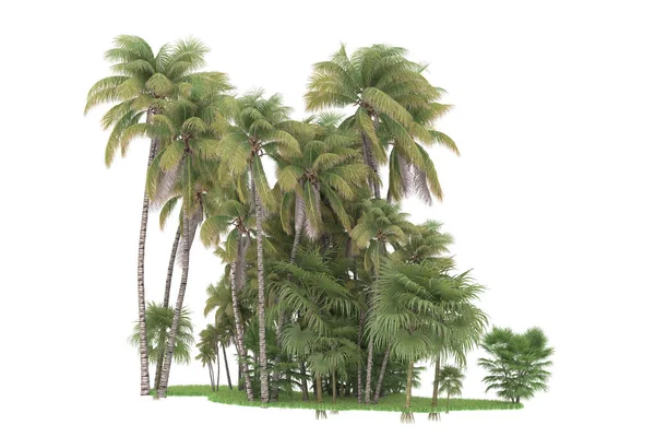 白い背景に隔離されたヤシの木の島 3Dレンダリング イラスト — ストック写真