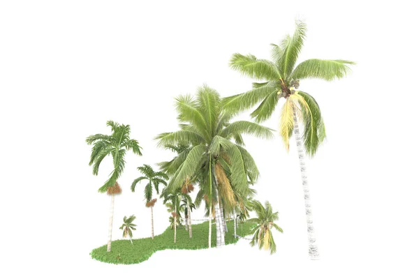 Ostrov Palem Izolovaných Bílém Pozadí Vykreslování Ilustrace — Stock fotografie