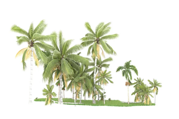 Ostrov Palem Izolovaných Bílém Pozadí Vykreslování Ilustrace — Stock fotografie