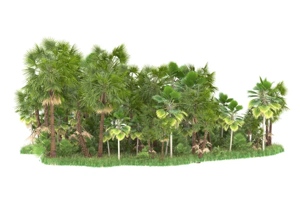 Isla Palmeras Aisladas Sobre Fondo Blanco Representación Ilustración —  Fotos de Stock