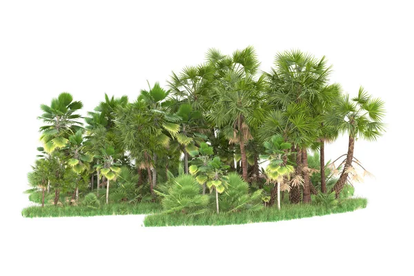 白い背景に隔離されたヤシの木の島 3Dレンダリング イラスト — ストック写真