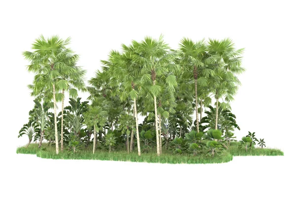 棕榈树的岛屿 在白色的背景上被隔离 3D渲染 — 图库照片