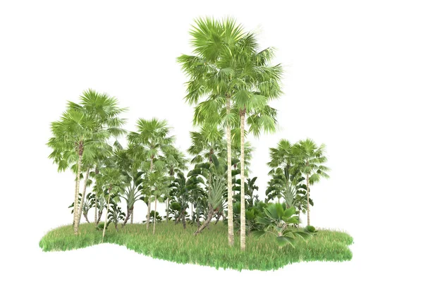 Beyaz Arka Planda Izole Edilmiş Palmiye Ağaçları Adası Görüntüleme Illüstrasyon — Stok fotoğraf