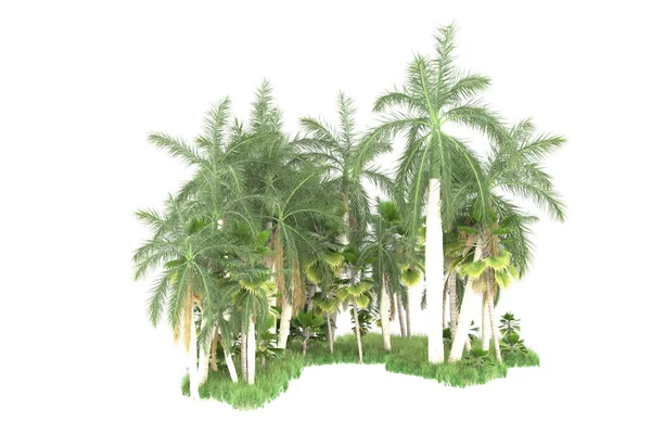 Візуалізація Зелених Дерев Ізольованих Білому Тлі — стокове фото