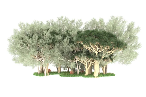 Representación Árboles Verdes Aislados Sobre Fondo Blanco — Foto de Stock