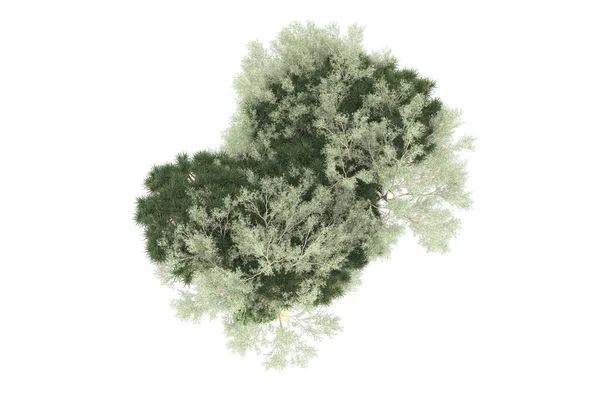 Beyaz Arkaplanda Izole Edilmiş Yeşil Ağaçların Görüntülenmesi — Stok fotoğraf