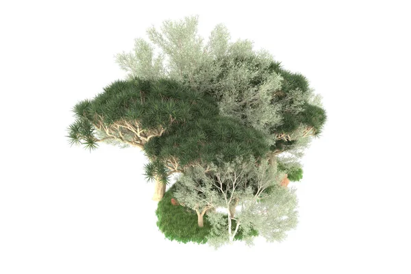 Gjengivelse Grønne Trær Isolert Hvit Bakgrunn – stockfoto