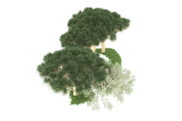 Renderização Verde Árvores Isoladas Fundo Branco — Fotografia de Stock