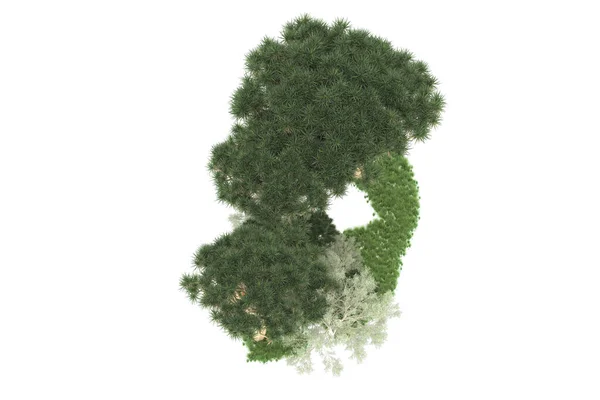 Rendering Green Trees Isolated White Background — Stock Photo, Image