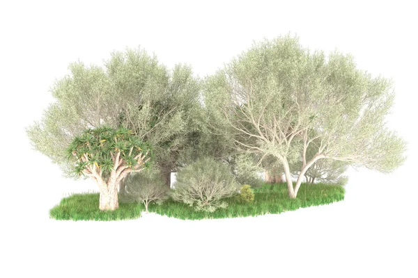Weergave Van Een Groene Bomen Geïsoleerd Witte Achtergrond — Stockfoto