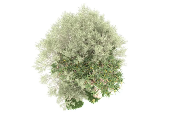 白い背景に隔離された緑の木の3Dレンダリング — ストック写真