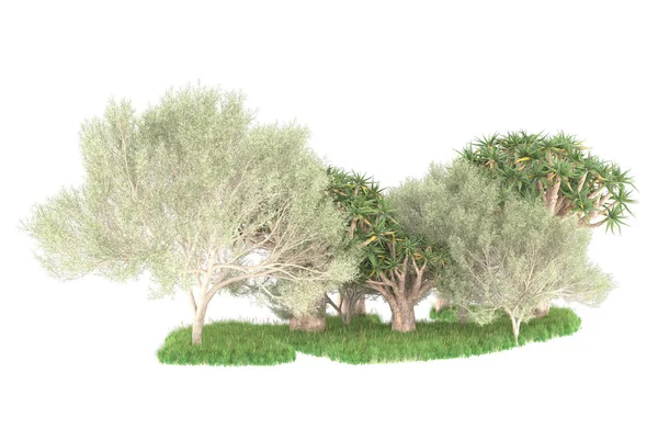 Återgivning Grön Träd Isolerad Vit Bakgrund — Stockfoto