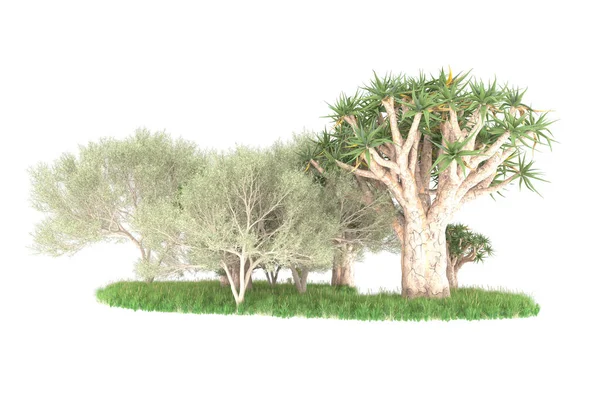Redarea Unui Copac Verde Izolat Fundal Alb — Fotografie, imagine de stoc