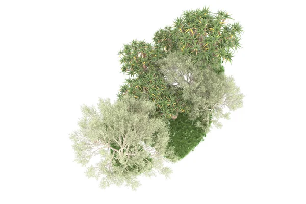 被白色背景隔离的森林 3D渲染 — 图库照片
