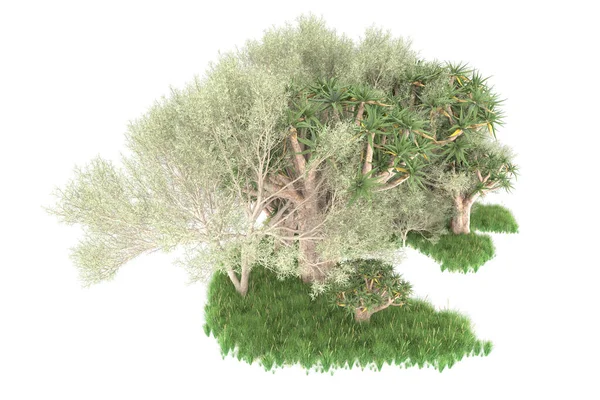 白い背景に孤立した森 3Dレンダリング イラスト — ストック写真
