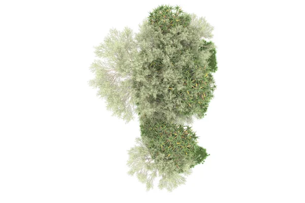Δάσος Απομονωμένο Λευκό Φόντο Απόδοση Εικονογράφηση — Φωτογραφία Αρχείου