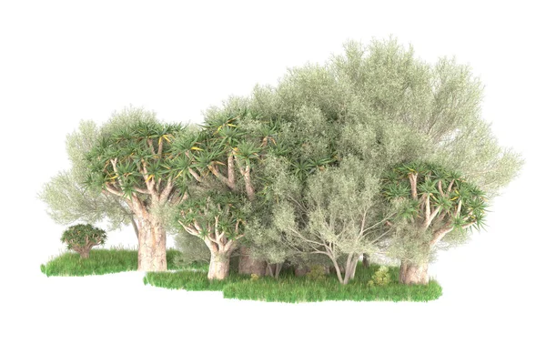 白い背景に孤立した森 3Dレンダリング イラスト — ストック写真