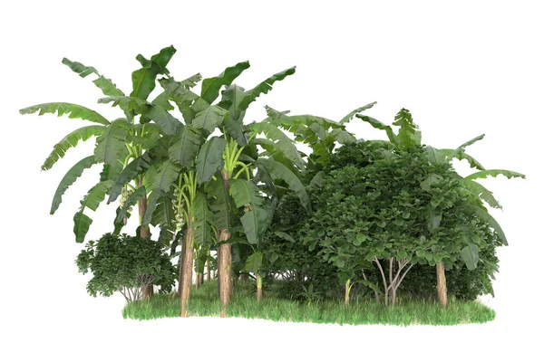 草场上的棕榈树在背景上隔绝开来 3D渲染 — 图库照片