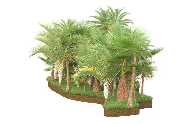 Palmy Polu Trawy Izolowane Tle Renderowanie Ilustracja — Zdjęcie stockowe