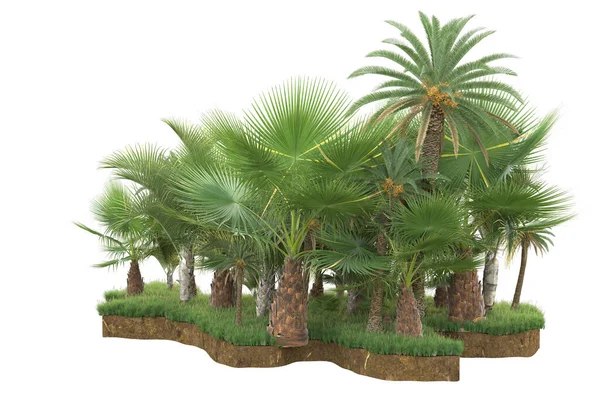 Palmen Auf Einem Grasfeld Isoliert Hintergrund Darstellung Illustration — Stockfoto