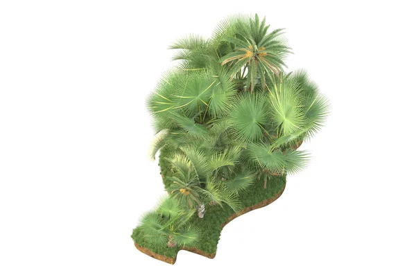 Palmbomen Grasveld Geïsoleerd Achtergrond Weergave Illustratie — Stockfoto
