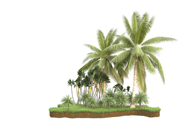 Palm trees on field of grass isolated on background. 3d rendering - illustration