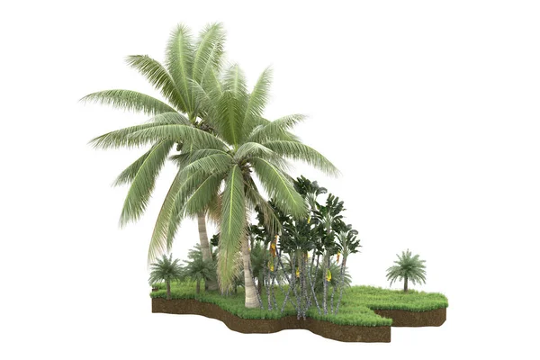 Arka Planda Çimenlik Alandaki Palmiye Ağaçları Izole Görüntüleme Illüstrasyon — Stok fotoğraf