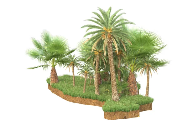 Palmy Travnatém Poli Izolovaném Pozadí Vykreslování Ilustrace — Stock fotografie