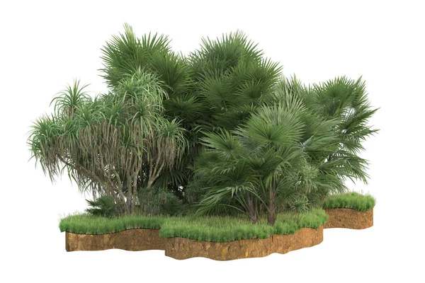 バックグラウンドで隔離された草の畑のパームツリー 3Dレンダリング イラスト — ストック写真