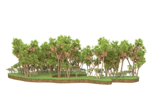 Arka Planda Çimenlik Alandaki Palmiye Ağaçları Izole Görüntüleme Illüstrasyon — Stok fotoğraf