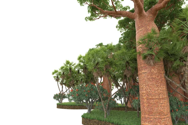 Пальмы Поле Травы Изолированы Заднем Плане Рендеринг Иллюстрация — стоковое фото