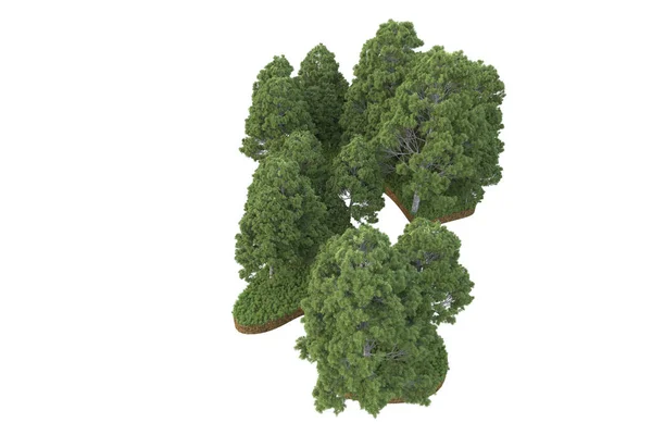 Återgivning Grön Träd Isolerad Vit Bakgrund — Stockfoto