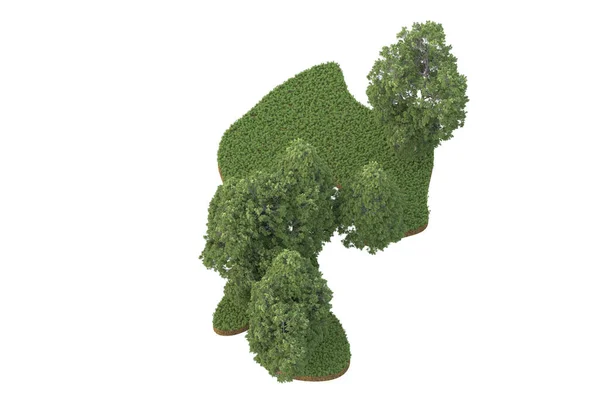 Beyaz Arkaplanda Izole Edilmiş Yeşil Ağaçların Görüntülenmesi — Stok fotoğraf