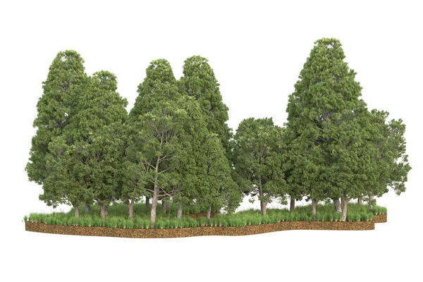 Renderowanie Zielonych Drzew Białym Tle — Zdjęcie stockowe
