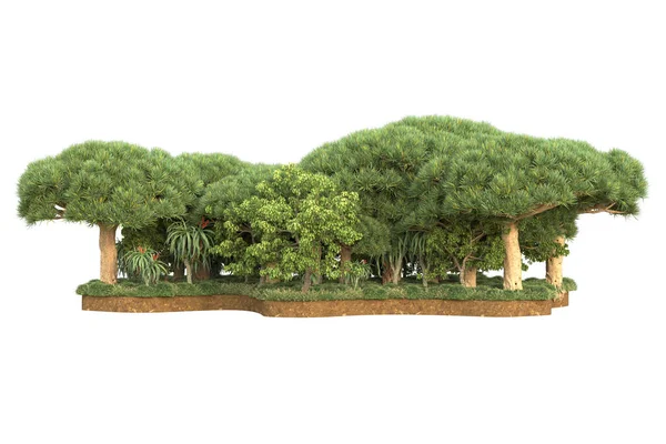 Απόδοση Πράσινων Δέντρων Που Απομονώνονται Λευκό Φόντο — Φωτογραφία Αρχείου