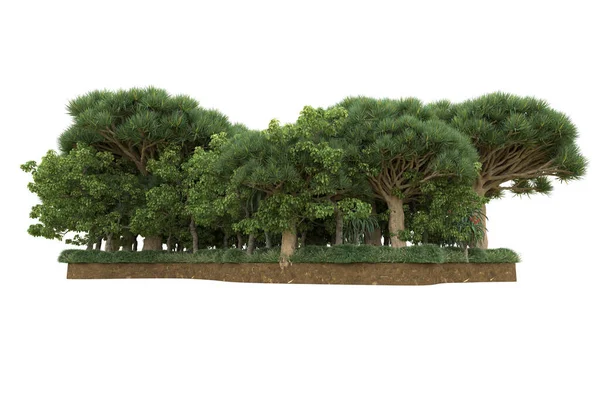 Renderização Verde Árvores Isoladas Fundo Branco — Fotografia de Stock