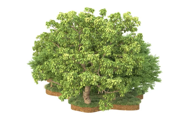 Rendering Albero Verde Isolato Sfondo Bianco — Foto Stock