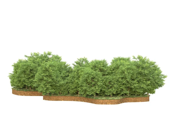 Valkoisella Pohjalla Olevien Vihreiden Puiden Renderöinti — kuvapankkivalokuva