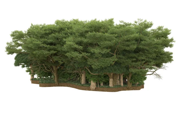 3D渲染在白色背景上隔离的绿树 — 图库照片