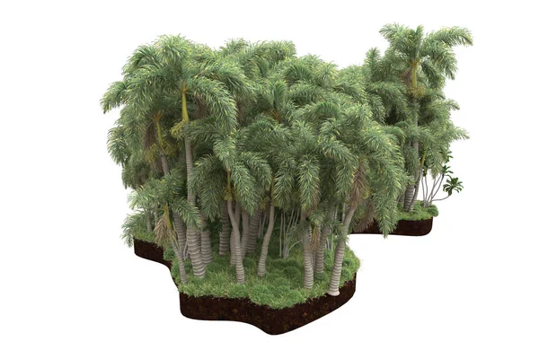3D渲染在白色背景上隔离的绿树 — 图库照片