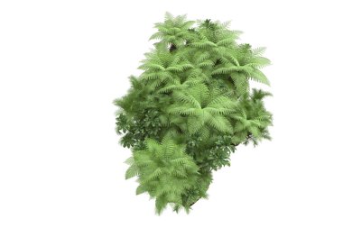 Beyaz arka planda izole edilmiş palmiye ağaçları adası. 3d görüntüleme - illüstrasyon