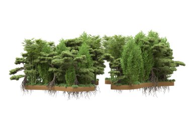 Beyaz arka planda ağaçlar olan bir ada. 3d görüntüleme - illüstrasyon