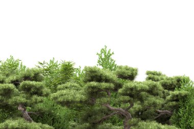 Beyaz arka planda ağaçlar olan bir ada. 3d görüntüleme - illüstrasyon