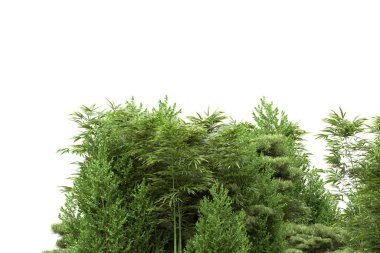 Beyaz arka planda ağaçlar olan bir ada. 3d görüntüleme - illüstrasyon