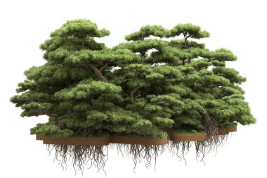 Beyaz arka planda ağaçlar olan bir ada. 3d görüntüleme - illüstrasyon