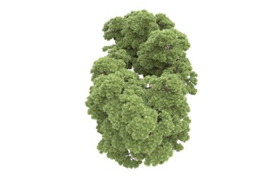 Beyaz arka planda ağaçlar olan bir ada. 3d görüntüleme - illüstrasyon