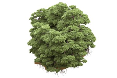 Beyaz arka planda ağaçlar olan bir ada. 3d görüntüleme - illüstrasyon