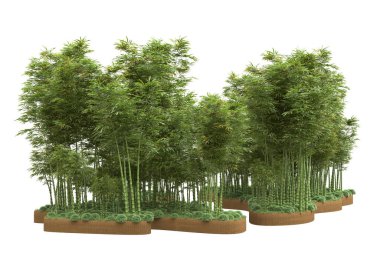 Beyaz arka planda ağaçlar olan bir ada. 3d görüntüleme - illüstrasyon